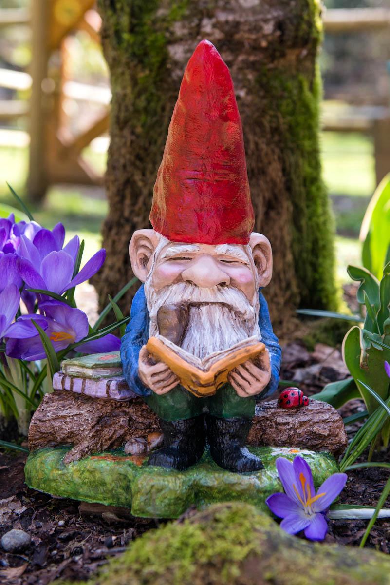 Mr. Gnome with Book