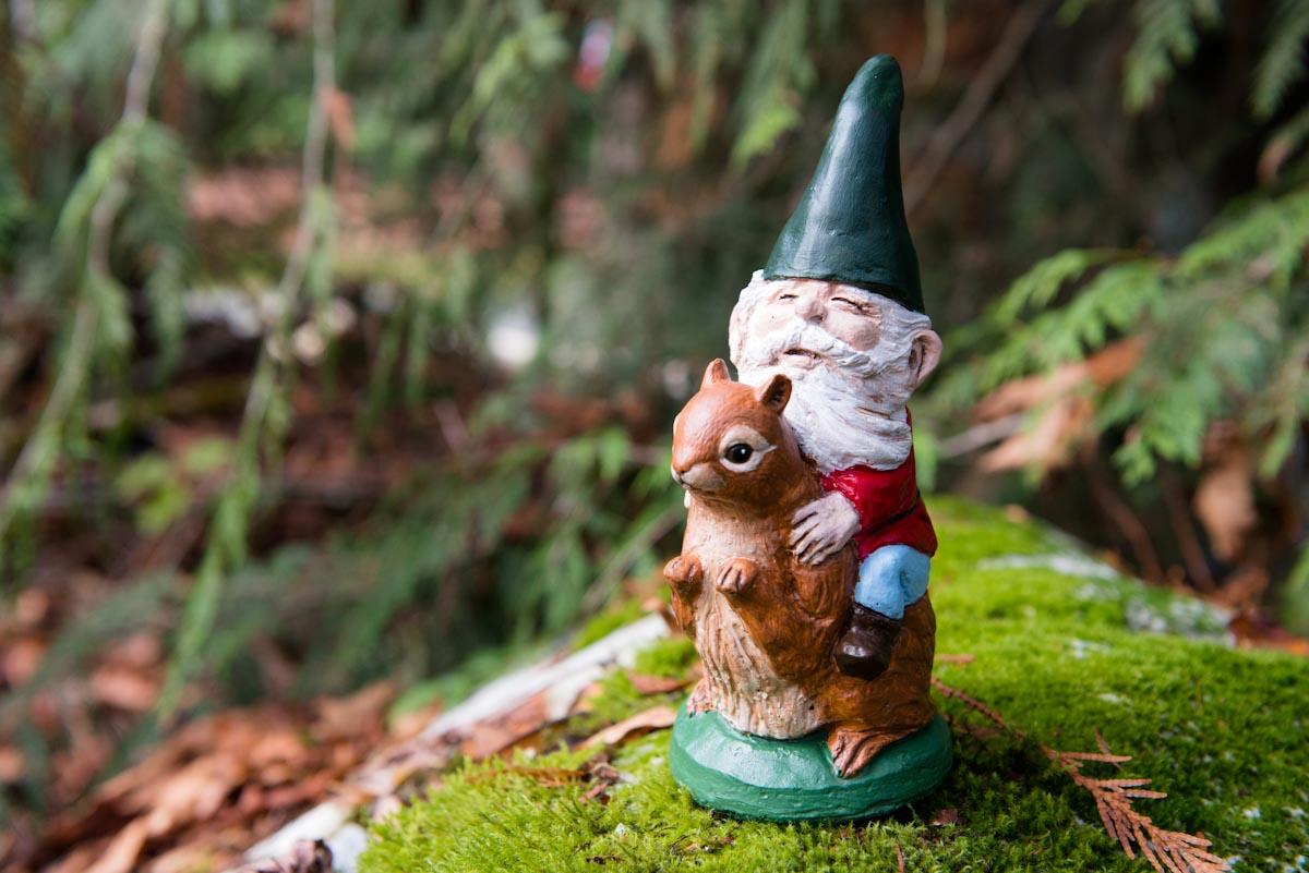 Mr. Gnome with Squirrel